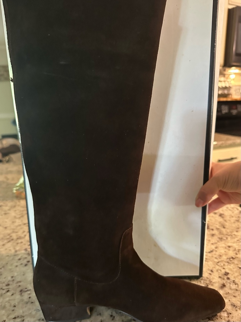 Steven madden Brand Brown Suede Knee-High Boot - Classic Riding Style